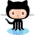 /github.png